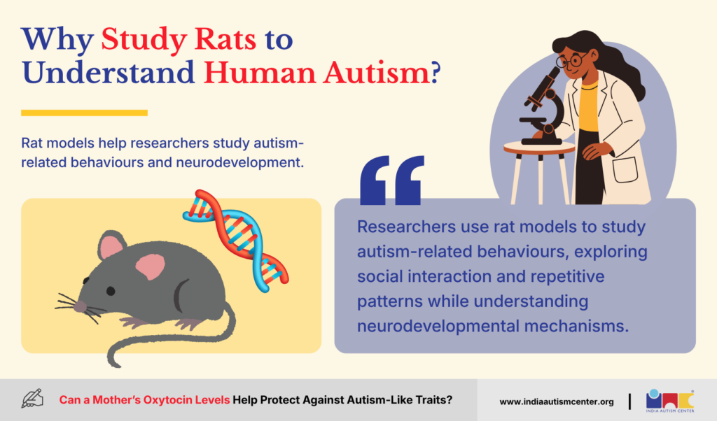 Why Study Rats to Understand Human Autism?