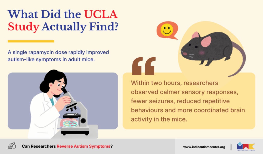 What Did the UCLA Study Actually Find