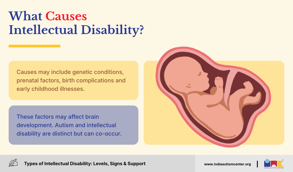Possible causes of intellectual disability including genetic and prenatal factors