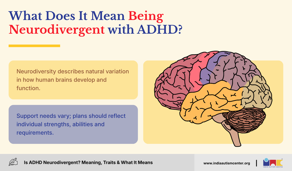 Illustration of the brain explaining what being neurodivergent with ADHD means