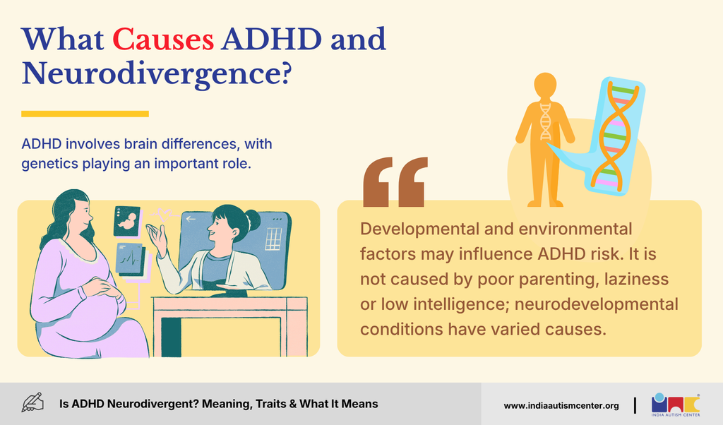 Illustration explaining genetic, developmental and environmental factors associated with ADHD