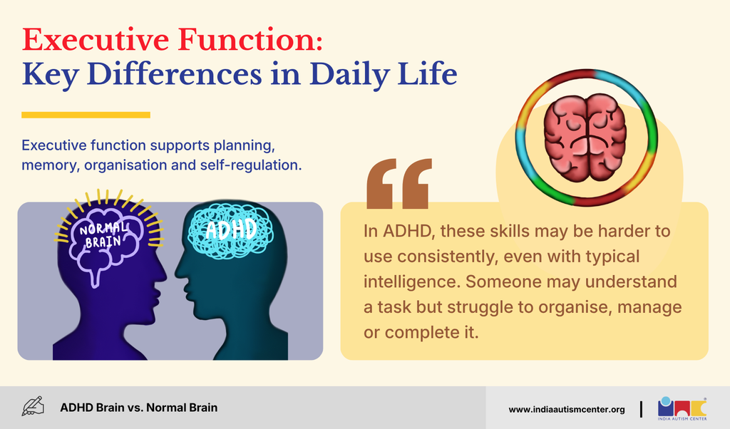 Normal brain vs ADHD brain illustration showing executive function differences in planning, memory and organisation
