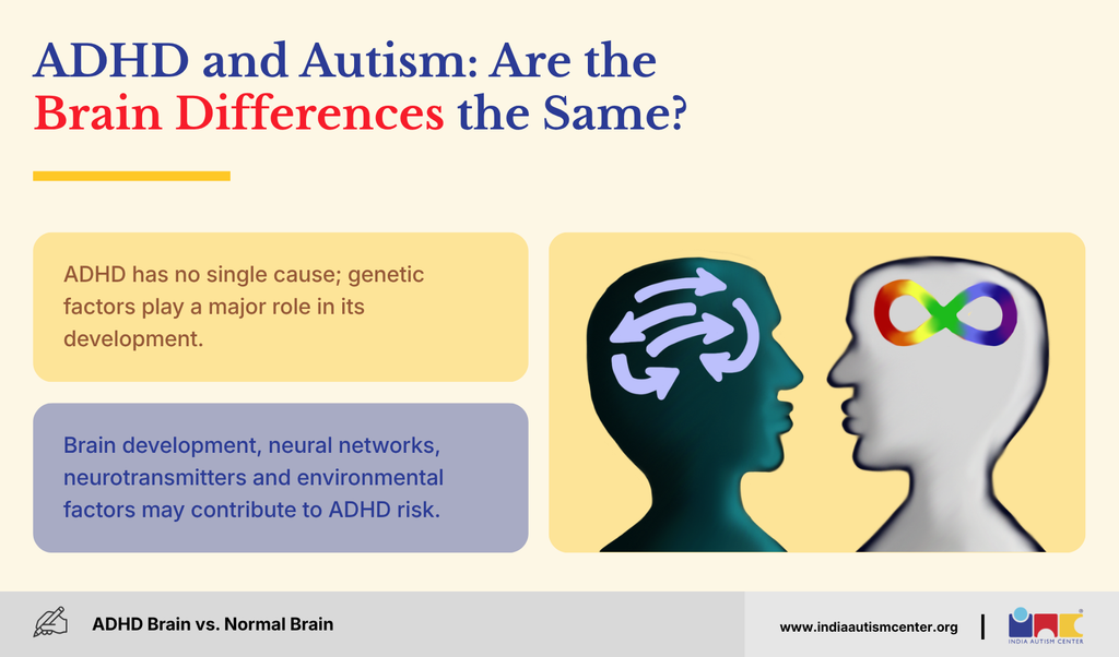 Illustration comparing a normal brain and an ADHD brain, showing differences in networks for attention and behaviour
