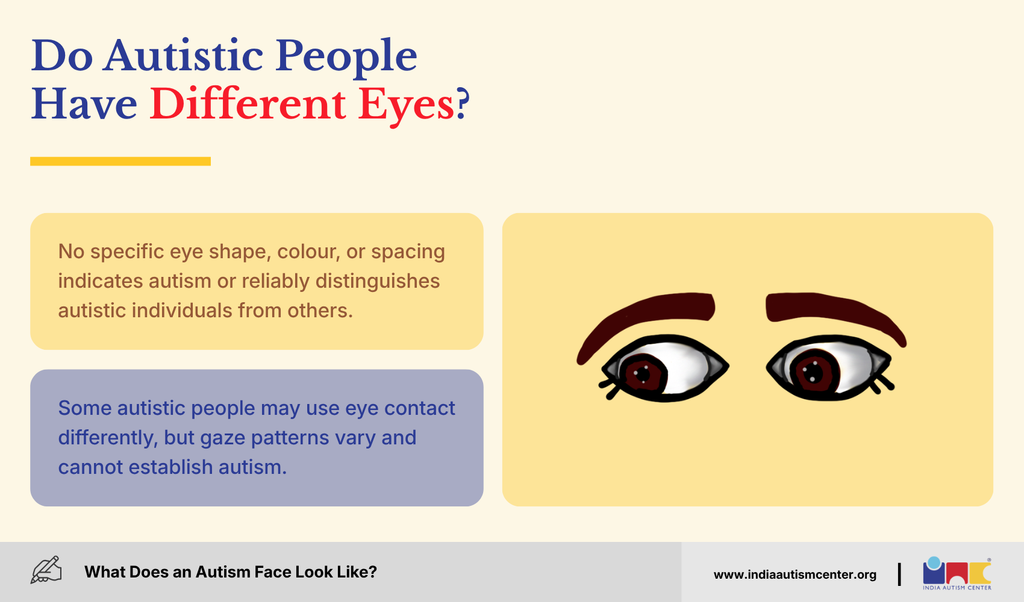 Illustrated eyes showing that no eye shape, colour or spacing indicates autism, though eye contact may differ