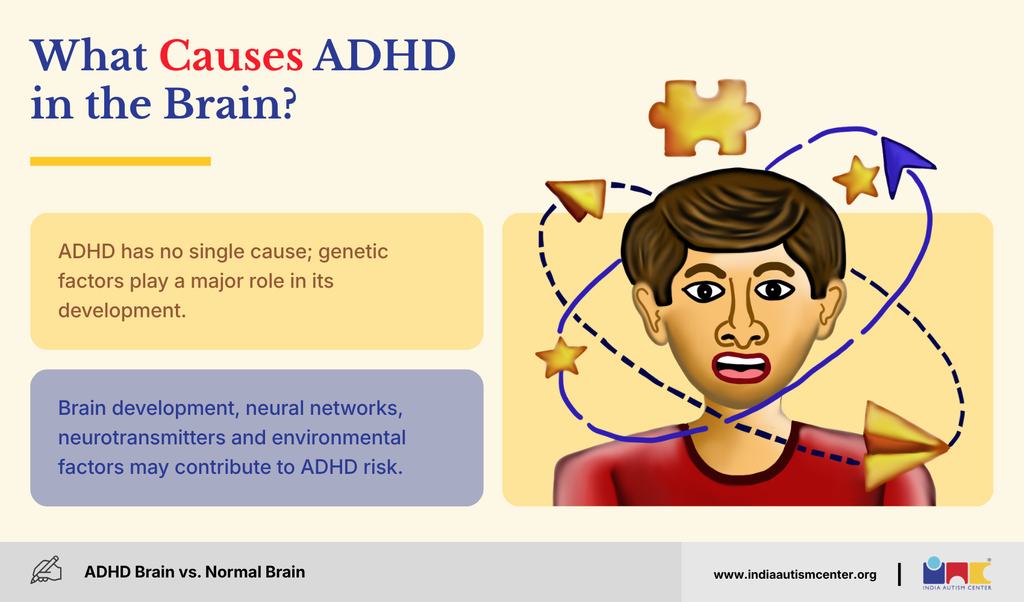 Illustrated boy surrounded by puzzle pieces and arrows, explaining genetic and brain factors that contribute to ADHD
